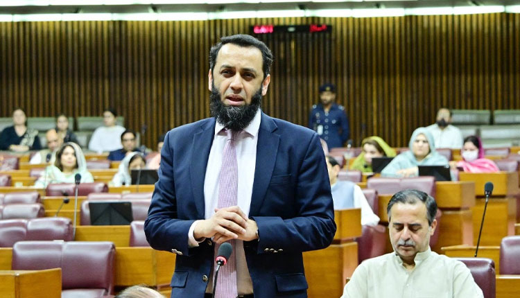 پی ٹی آئی کی دھرنے کی تیاری نہیں تھی، عطاء اللہ تارڑ کا دعویٰ
