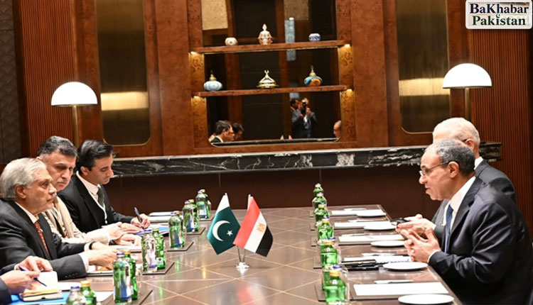 اسحاق ڈار کی مصری وزیر خارجہ سے ملاقات ، تعاون بڑھانے پر اتفاق